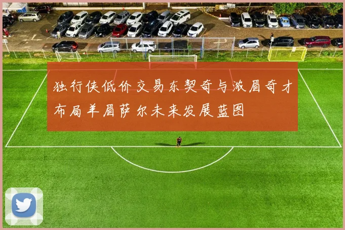 独行侠低价交易东契奇与浓眉奇才布局羊眉萨尔未来发展蓝图