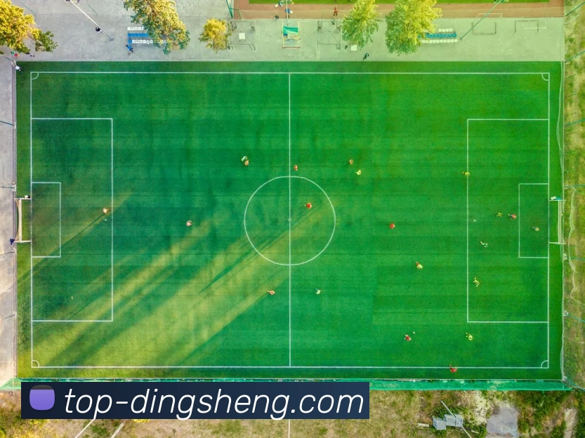 奖项图1